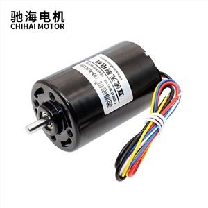 42mm Ħajja twila Ħoss Baxx Brushless Dc Motor